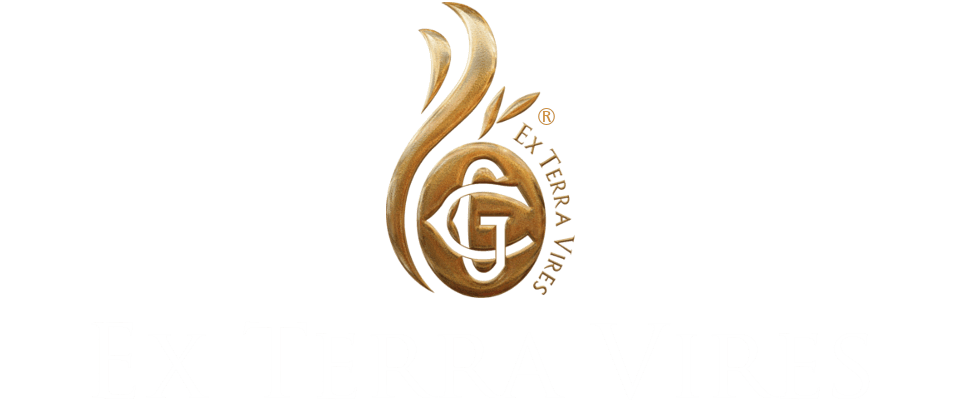 Ex Terra Vires